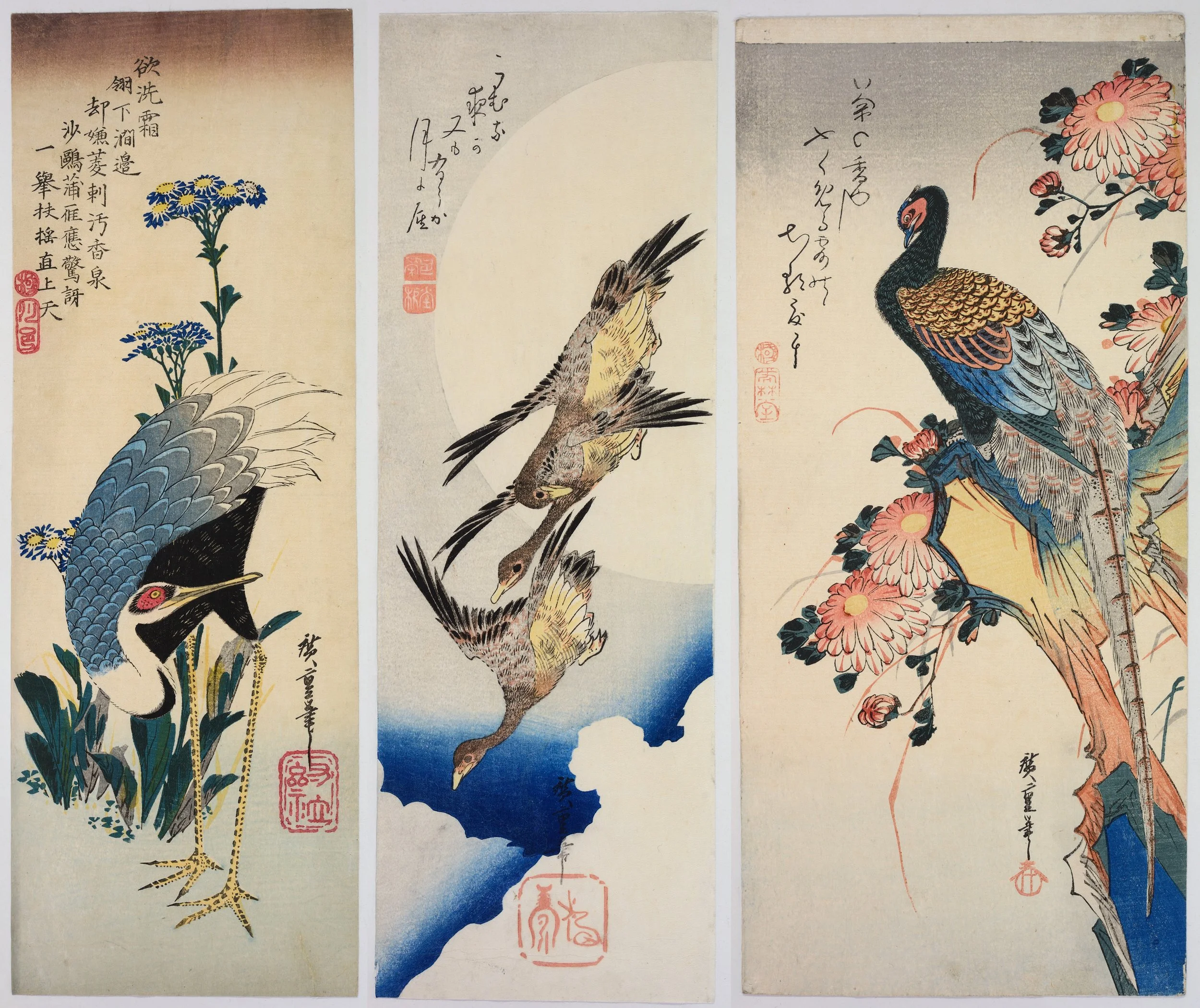 エジプト/チュニジア/リビア (1981年) (朝日旅の百科—海外編) エジプト/チュニジア/リビア (1981年) (朝日旅の百科―海外編)